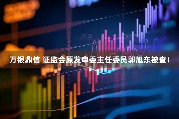 万银鼎信 证监会原发审委主任委员郭旭东被查！