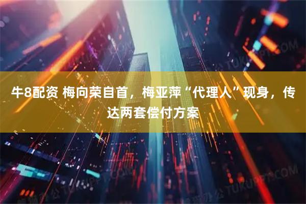 牛8配资 梅向荣自首，梅亚萍“代理人”现身，传达两套偿付方案